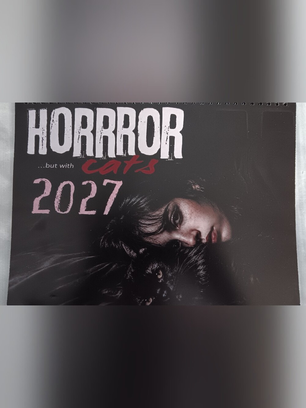 2027 Wall Calendar (NEW)